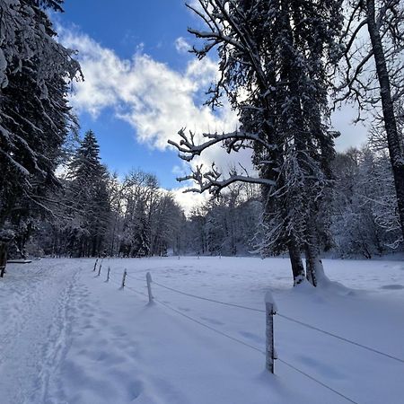 Chalet La Pastorale Hotel Morzine Exterior photo