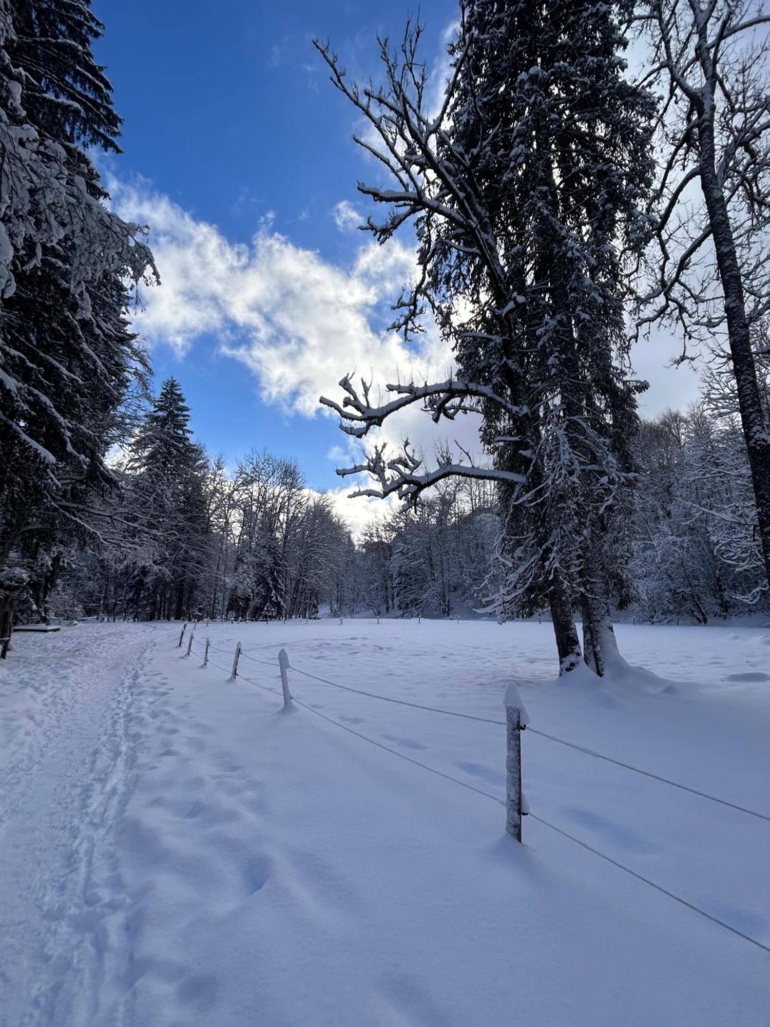 Chalet La Pastorale Hotel Morzine Exterior photo